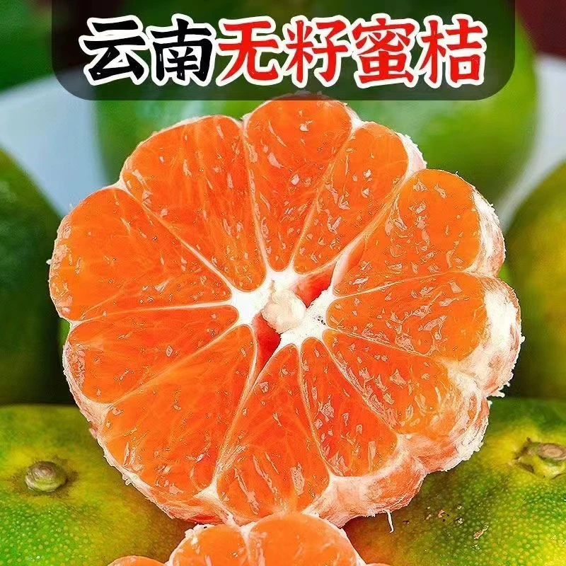 【7分甜3分酸】云南高山青皮蜜桔厚皮酸甜新鲜现摘现发4丰盈微酸