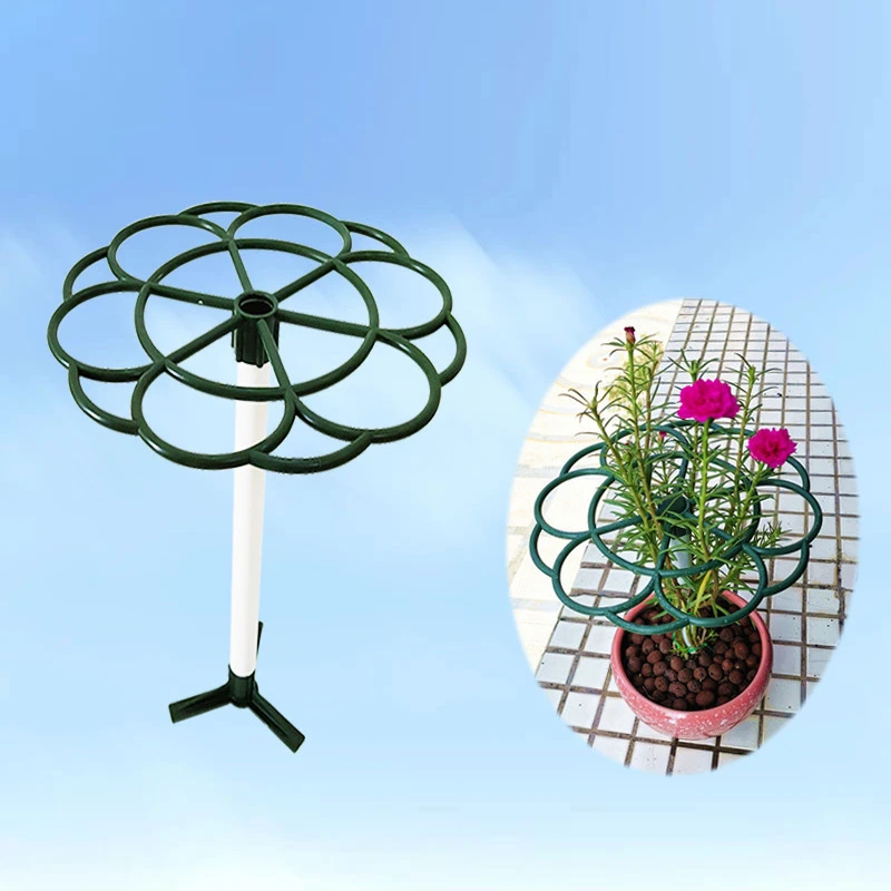 太阳花棒棒糖支架花架蟹爪兰嫁接绿萝防倒伏单多层支撑爬藤固定架