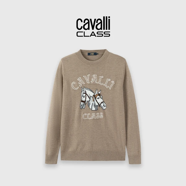 Cavalli Class秋新款圆领提花针织衫男保暖时尚休闲毛衣男CFC176