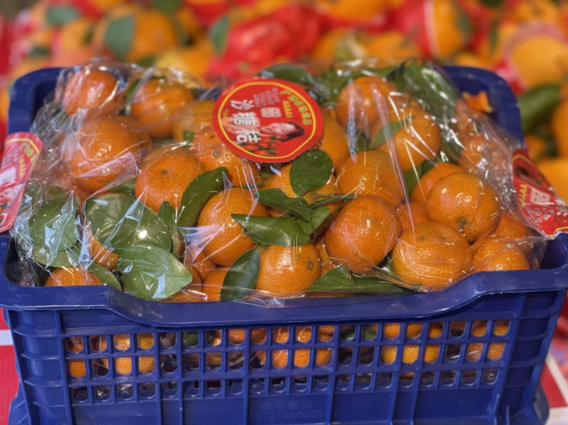 砂糖橘（箱装约10斤）