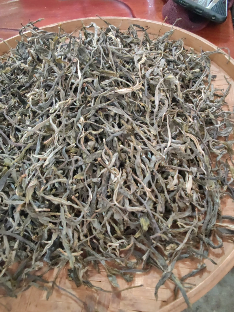 2024勐库糯伍大树春茶，散茶