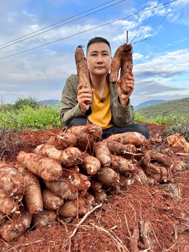 老品种灵芝山药又粉又糯云南深山农家自种新鲜山药