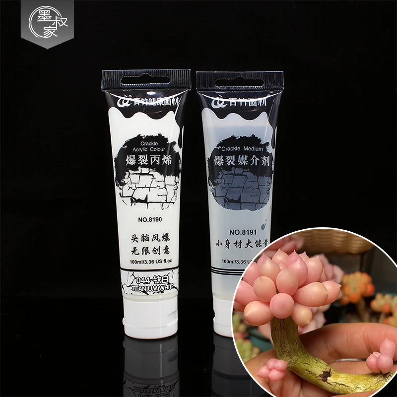 墨叔家青竹爆裂丙烯颜料媒介 树脂粘土黏土多肉植物老桩制作