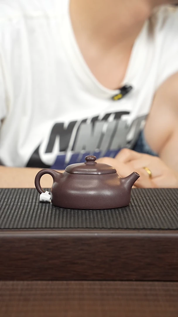 【闪购商品】紫砂茶壶源头精品手工作品22482