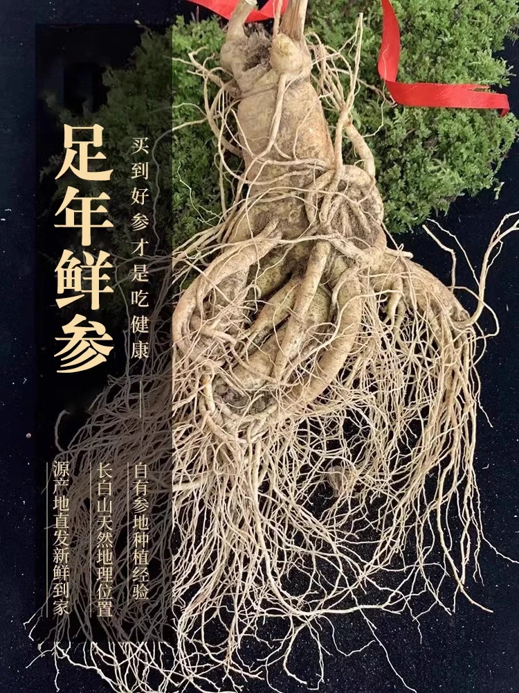 长白山鲜人参单支300克泡酒送礼土豪款（清洗不支持退货）