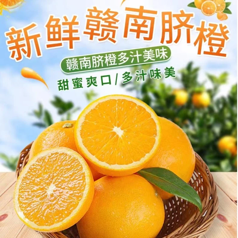 【精品果】赣南脐橙江西信丰源产地现摘现发皮薄多汁鲜橙10斤20斤