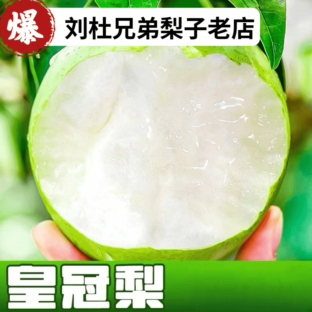 新鲜水果【正宗砀山梨】脆甜多汁坏果包赔砀山翠冠梨砀山皇冠梨大果