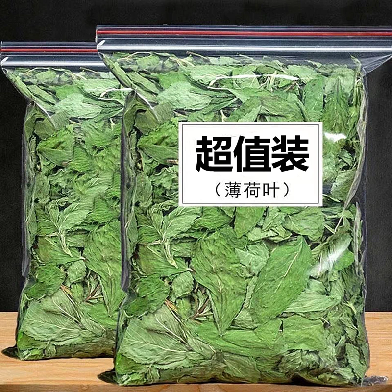 新货薄荷叶泡茶干薄荷叶清凉茶新鲜薄荷叶可配菊花泡茶水花草茶