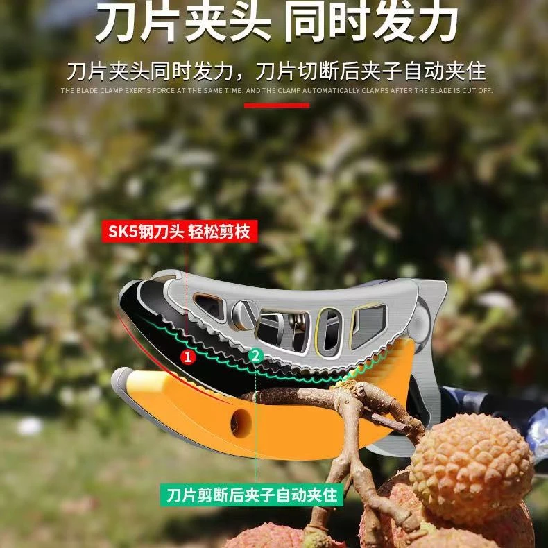 摘果神器高枝剪修枝剪伸缩摘果剪摘龙眼柿子剪刀高空摘水果采摘器