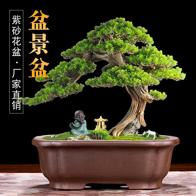 宜兴花盆陶瓷长方大号精品透气客厅中国风四方形高档紫砂盆景盆