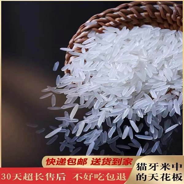 猫牙米产地广西大米福利长粒猫牙米长粒香米现磨软糯煮饭优质新米