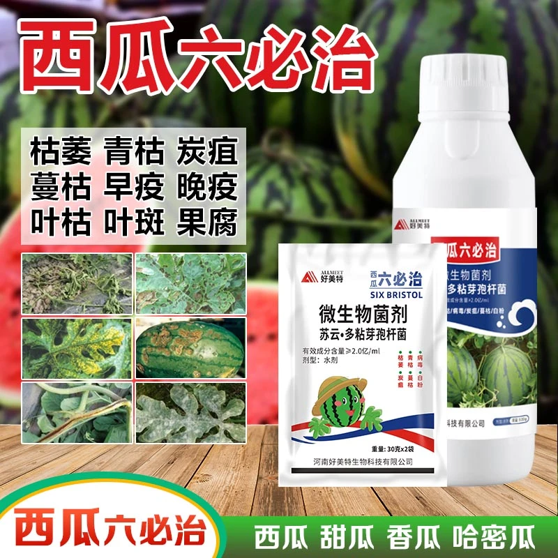 西瓜六必治叶面肥甜瓜哈密瓜黄叶枯萎青枯赤斑蔓枯炭疽专用肥料