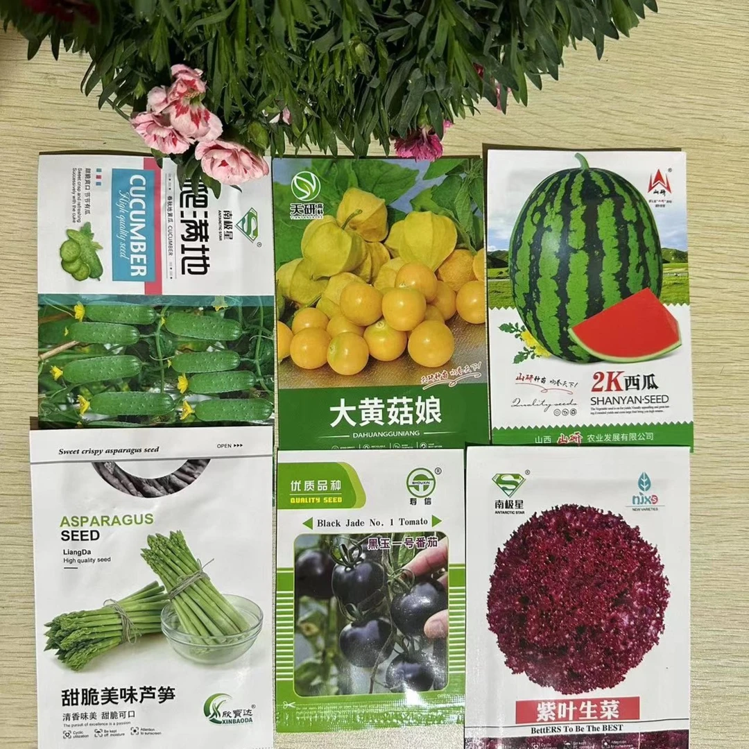 精选家庭优质蔬菜种子组合四季阳台盆栽地栽