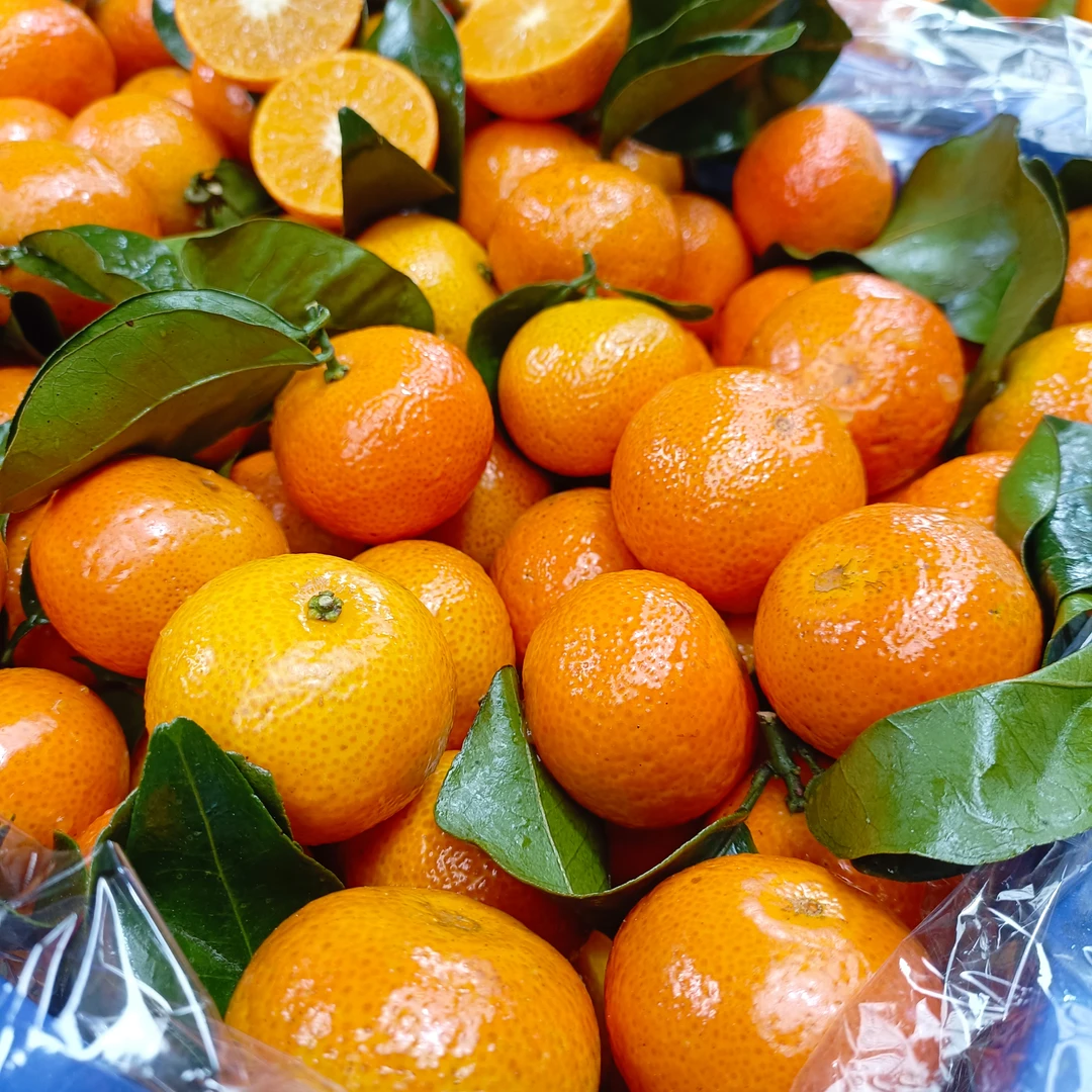 正宗砂糖橘《坏果包赔》