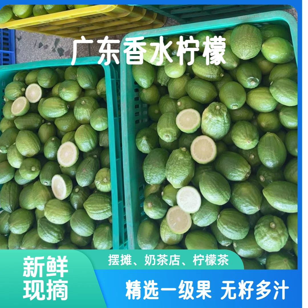 产地直发正宗广东无籽一级果香水柠檬广东新鲜采摘皮薄香气十足