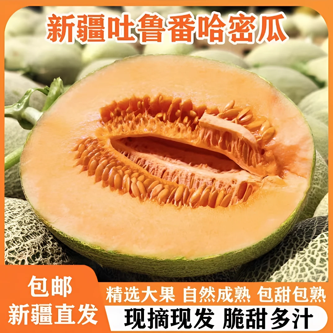 【新疆直发】吐鲁番哈密瓜西州蜜25号脆甜多汁高品质坏果包赔甜蜜