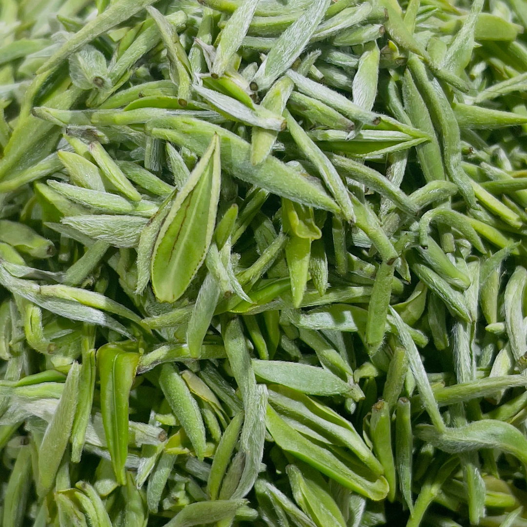 2024年信阳毛尖明前花香楼头125g