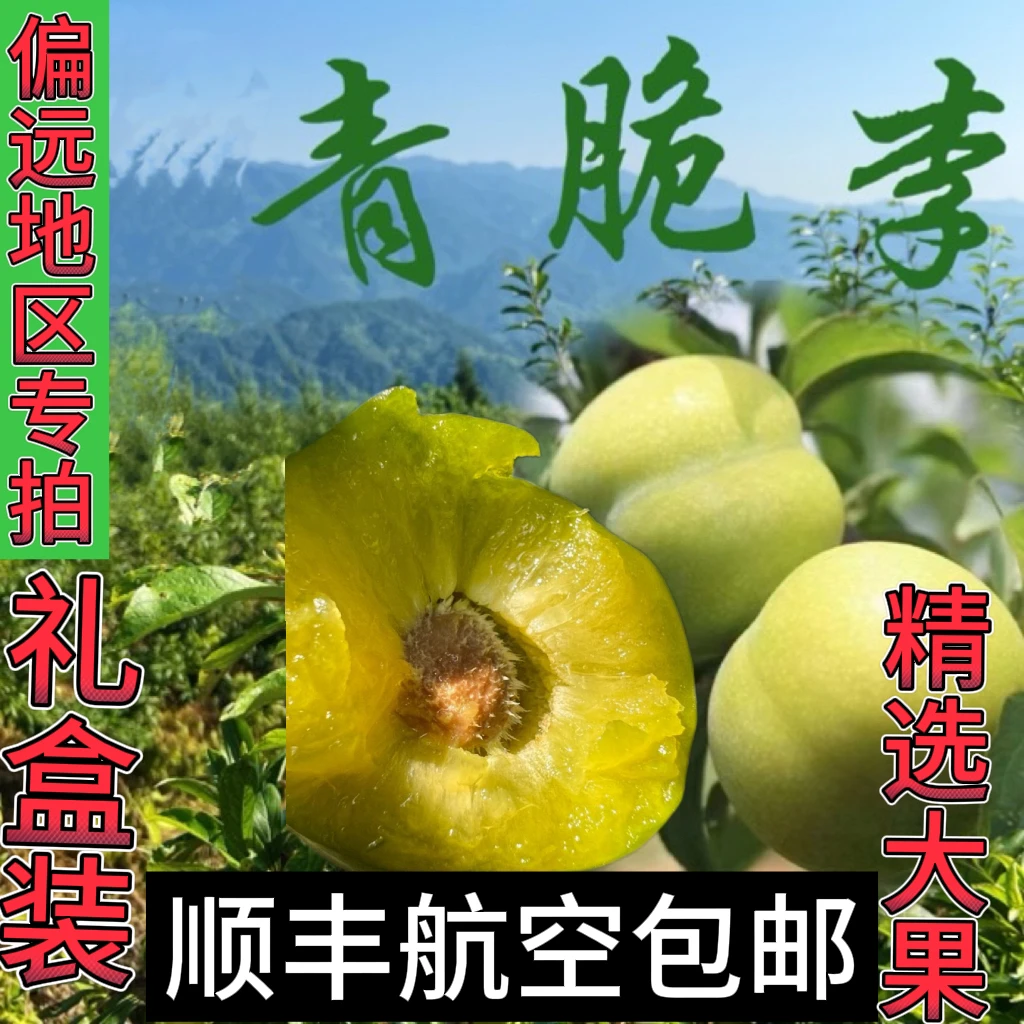 （顺丰航空）四川脱骨李重庆梁平青脆李现摘现发新鲜水果5斤礼盒装