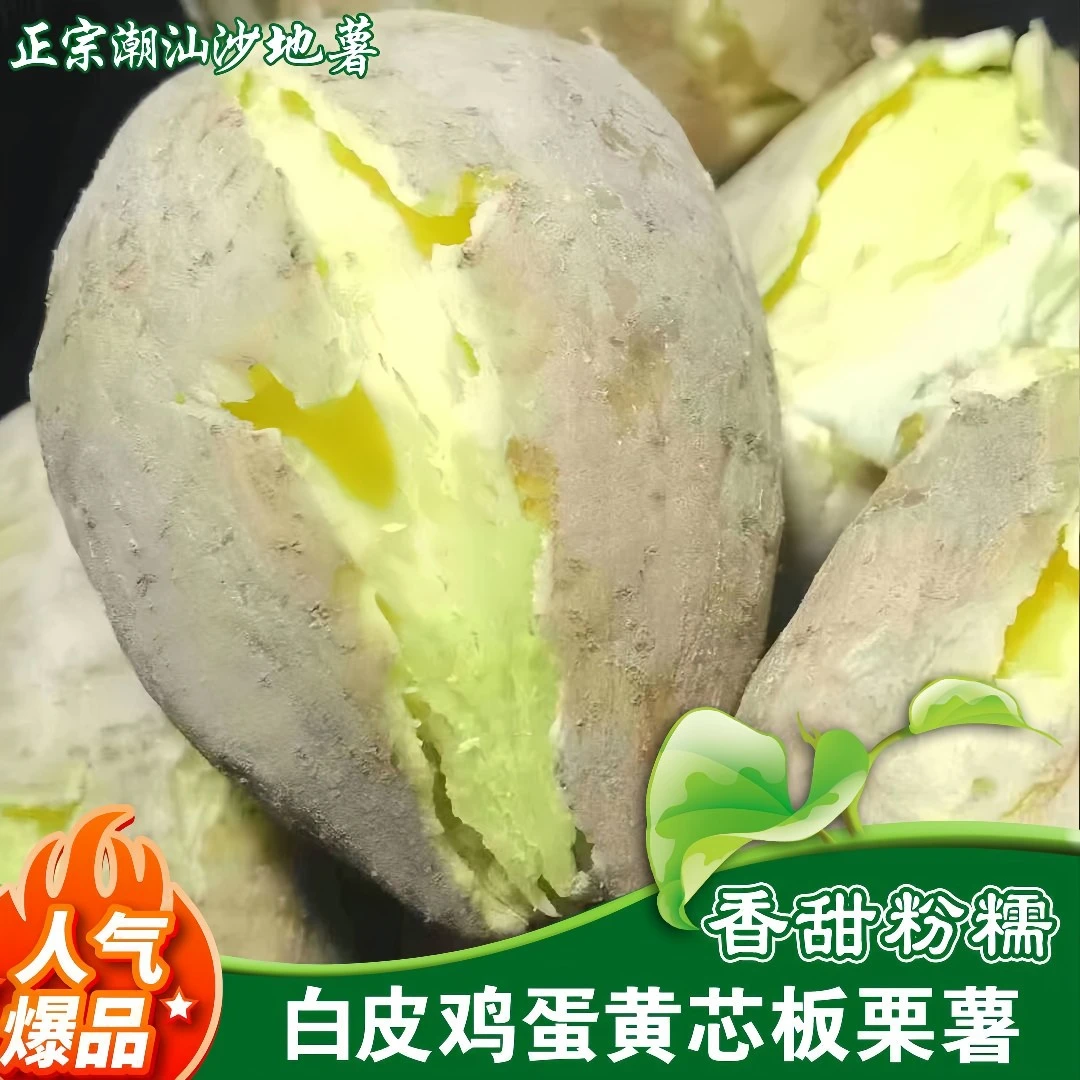 雪束潮汕农家新鲜白皮黄心板栗红薯香甜粉糯甘甜鸡蛋黄美味地瓜