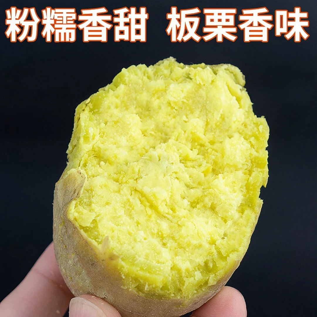 雪束正宗潮汕黄心板栗红薯香甜粉糯新鲜农家自种现挖现卖鸡蛋番薯