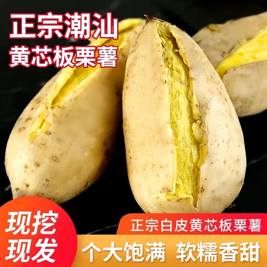 雪束潮汕白皮黄心板栗红薯新鲜农家自种香甜甘甜美味鸡蛋黄地瓜