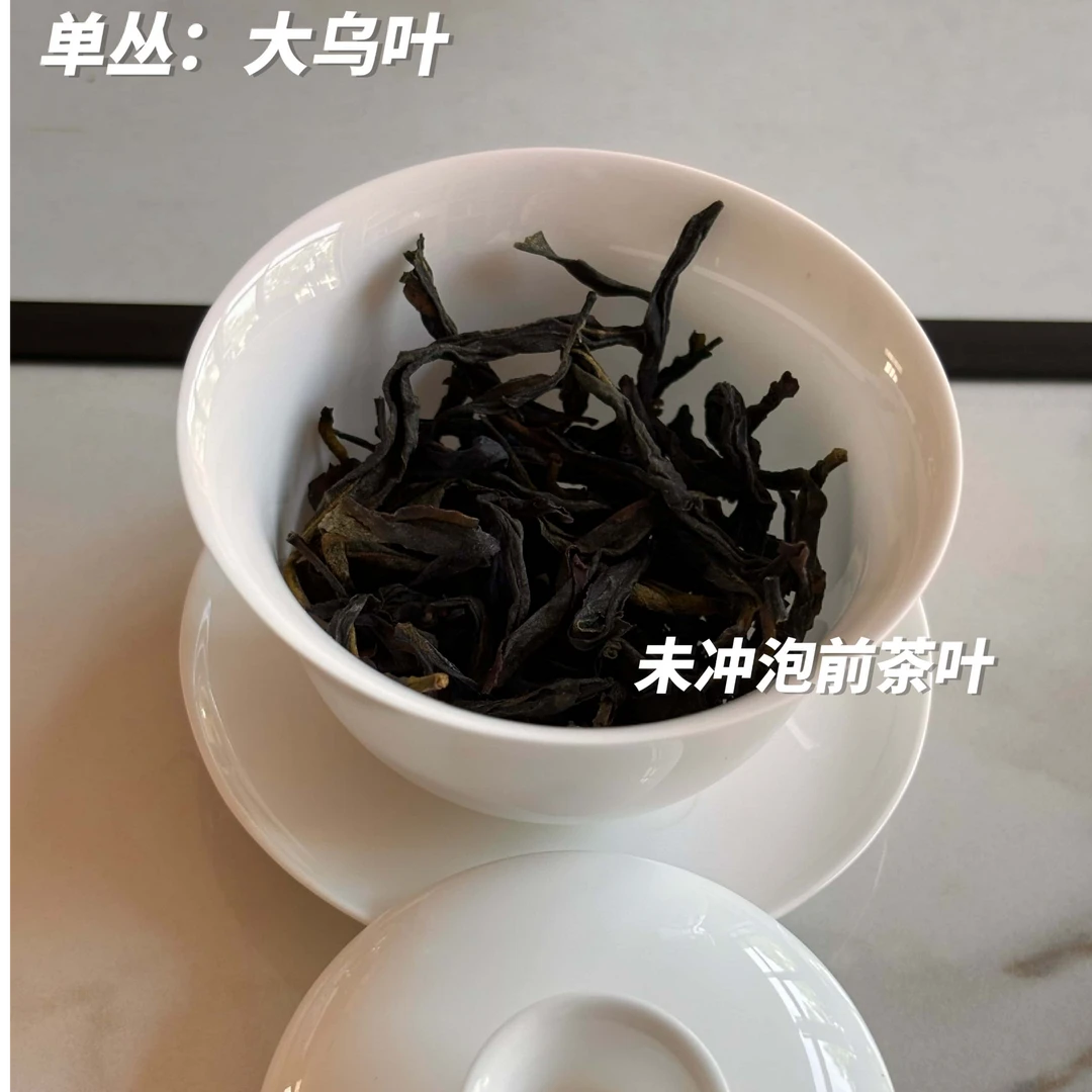 【鸣盛品】高山柚花香潮州原产地凤凰单丛茶回甘好