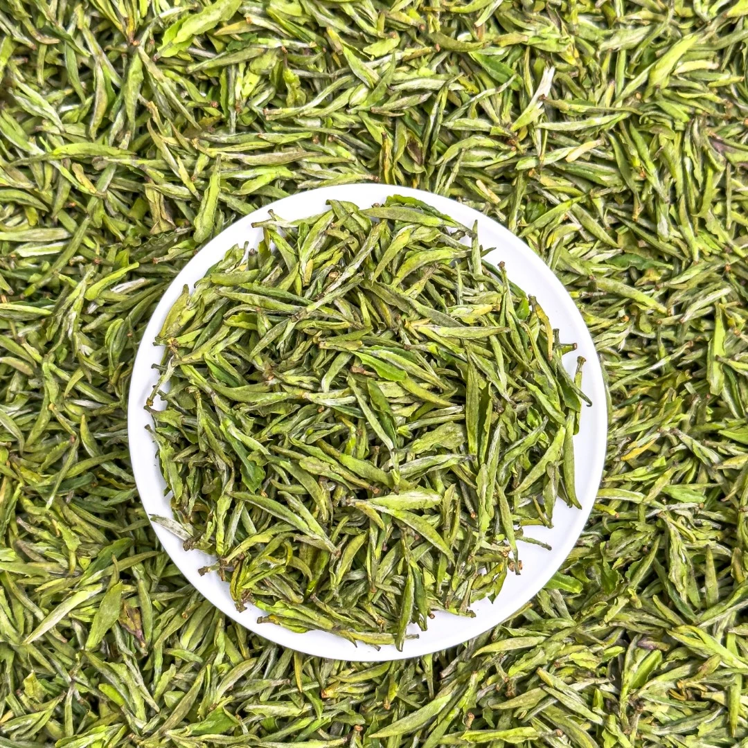 2024新茶头采明前绿茶 头采高山毛峰茶叶