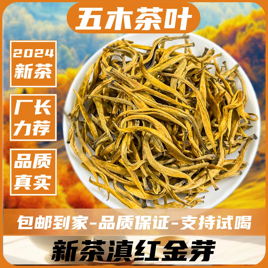 2024年春茶凤庆古树红茶滇红蜜毫韵滇红大金芽罐装