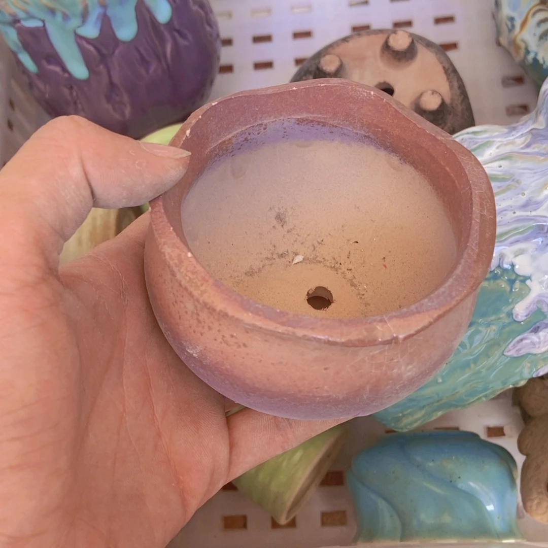 【闪购商品】红陶20CM（含）-50CM（不含）