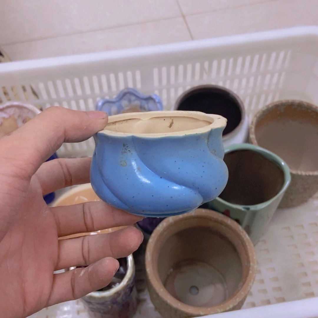 【闪购商品】红陶20CM（含）-50CM（不含）
