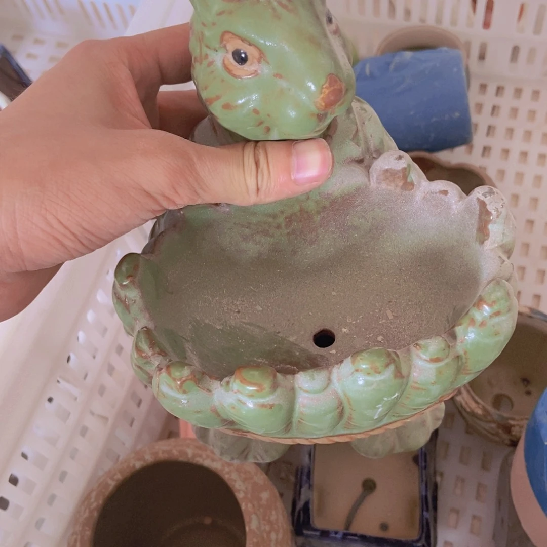 【闪购商品】红陶20CM（含）-50CM（不含）