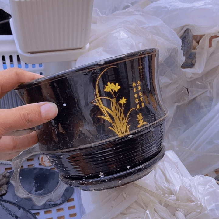 【闪购商品】红陶20CM（含）-50CM（不含）