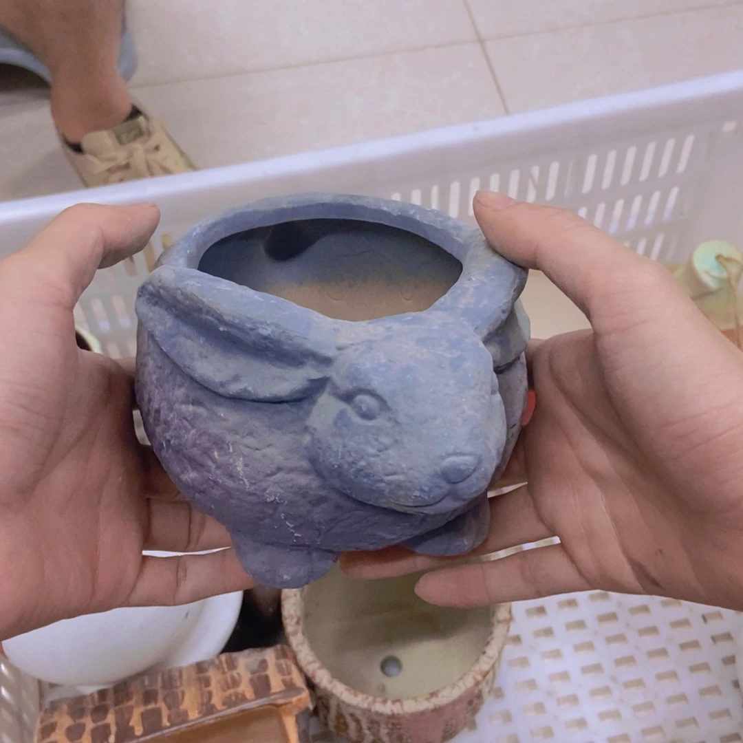 【闪购商品】红陶20CM（含）-50CM（不含）