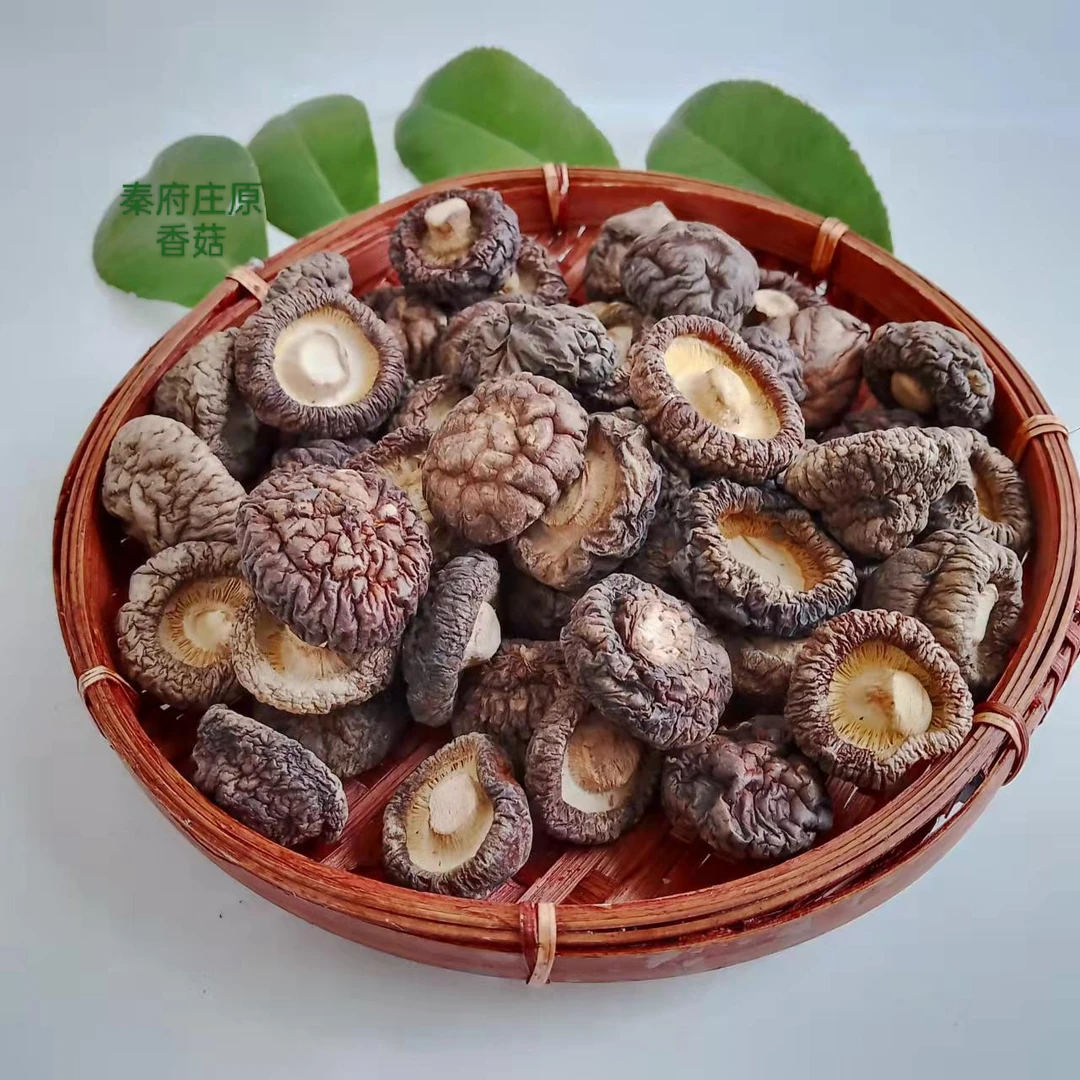 香菇干货厚肉干香菇冬菇蘑菇煲汤营养菌菇干货煲汤食材大全野生菌