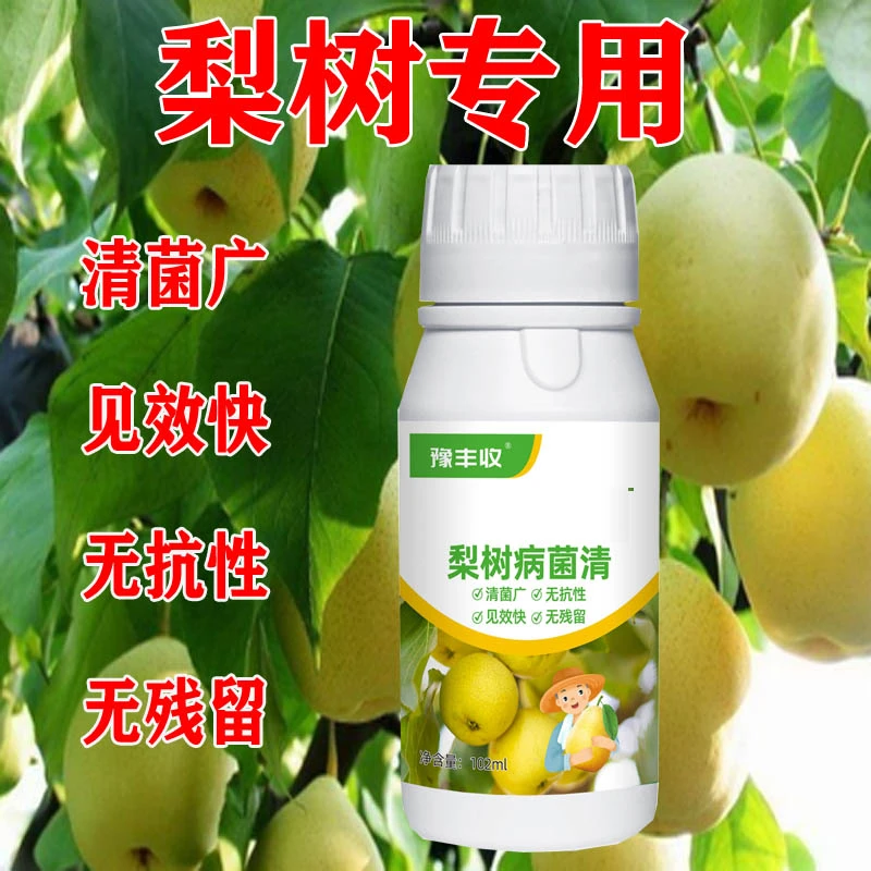 梨树杀菌梨树病全管微生物杀菌微生物菌剂黑斑病梨锈病黑星梨树