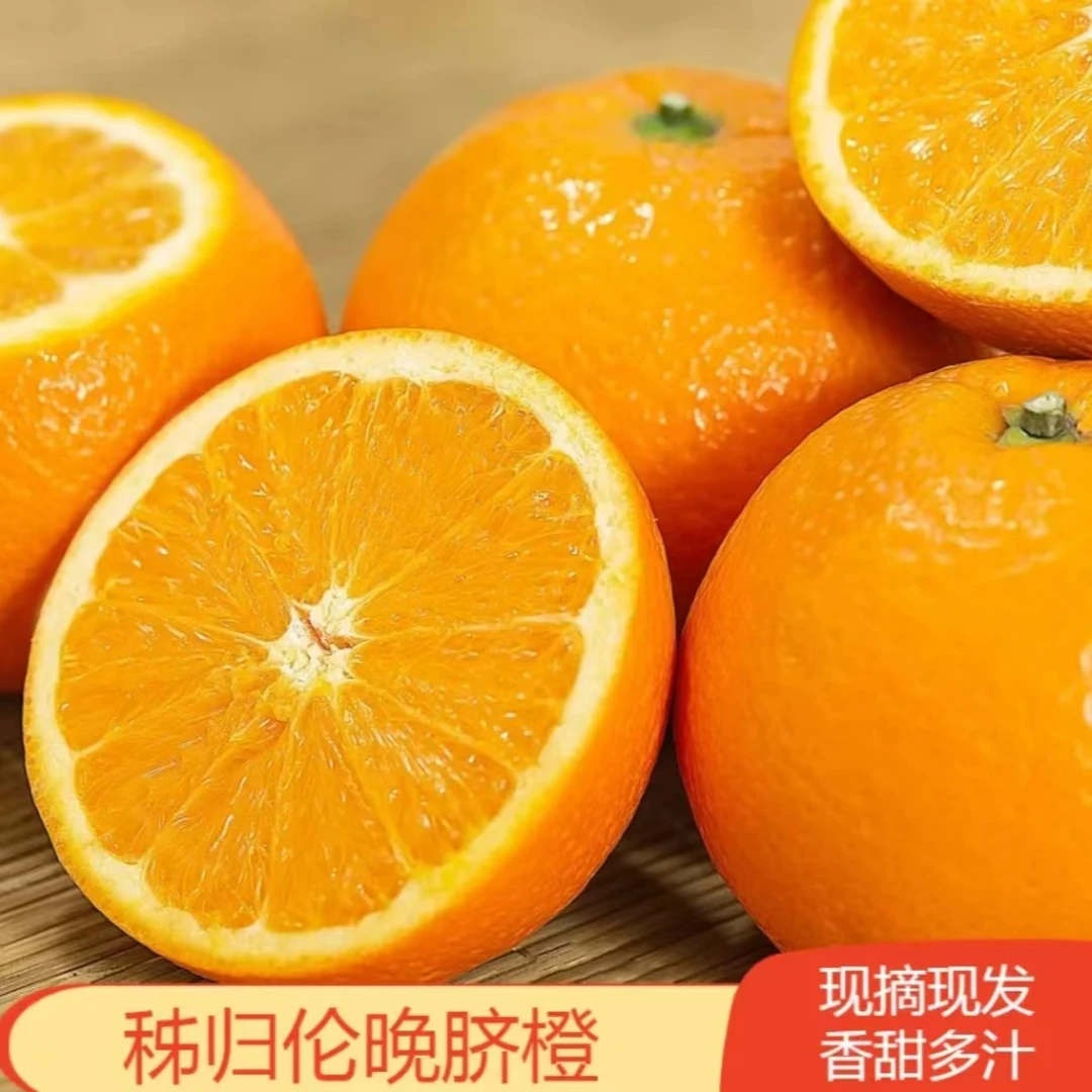（湖北秭归伦晚脐橙丹沫推荐）现摘现发酸甜可口应季鲜橙4.8到5斤装