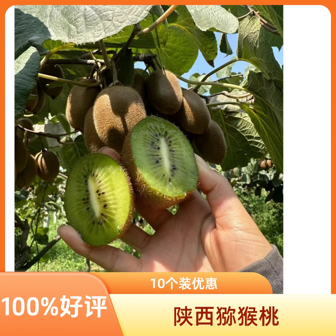 【100%好评】陕西特技猕猴桃/奇异果10个装（箱）