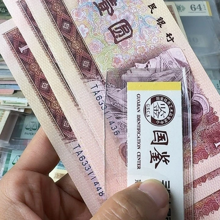 红金龙原票………………10个