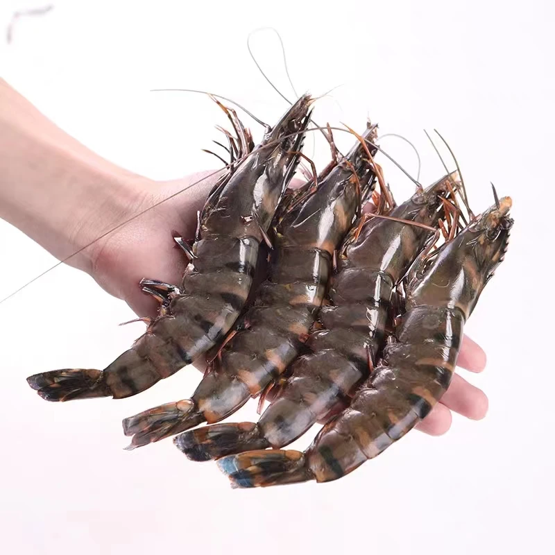 【鲜活】黑虎虾500g/份