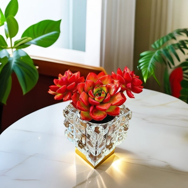 无土钻石玫瑰1颗(含四方白水晶杯