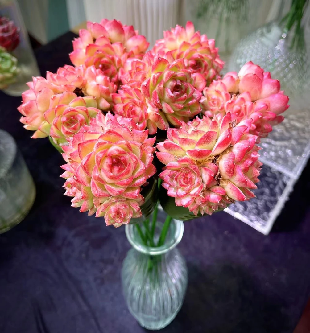 【花非花】群生潘多拉组合（含7颗潘多拉＋绿花束枝干+美人瓶）