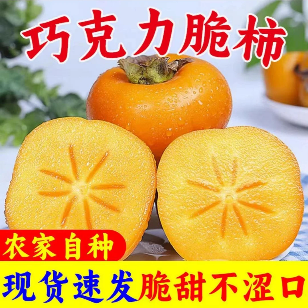 五花肉助力家乡 山西临汾阳丰脆甜巧克力柿子脆甜不涩口 产地直发