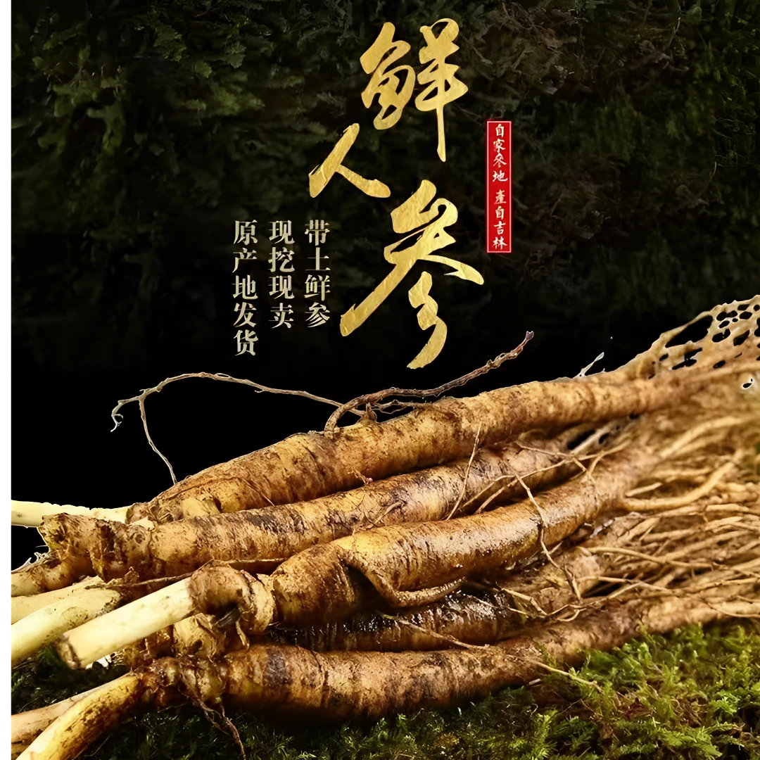 2【20根长白山】原产地长白山人参单支6g左右新鲜人参发货泡水煲汤