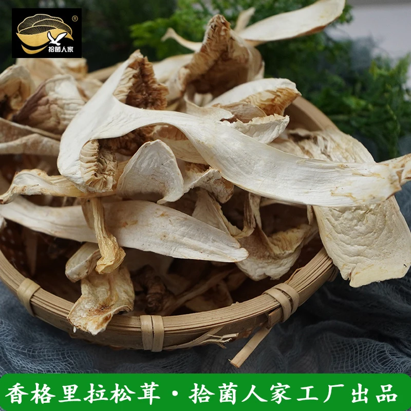 shijunrenjia/拾菌人家云南野生香格里拉松茸干片100克包邮