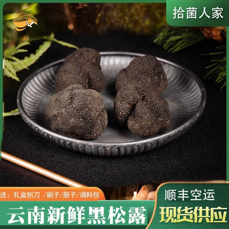 新鲜黑松露云南松露当季鲜货精品刺身煲汤蒸蛋500g顺丰包邮