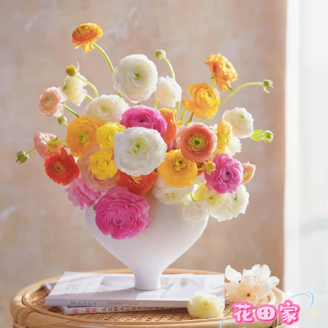 【20支洋牡丹】混色大骨朵