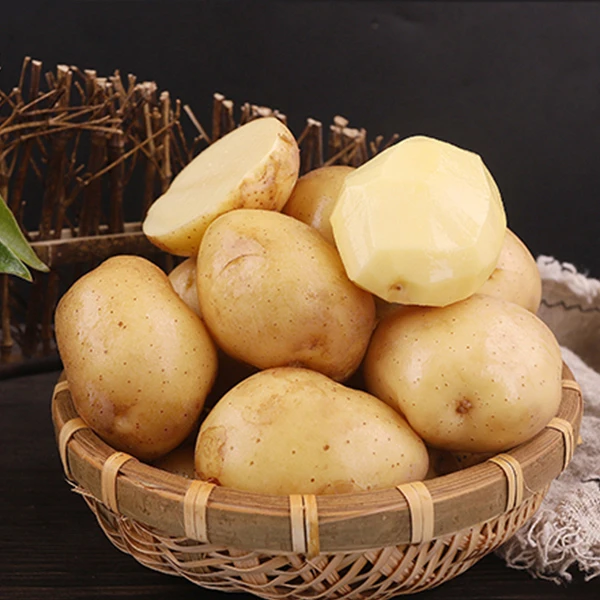 巫溪高山马尔科土豆10斤一箱巫溪洋芋重庆巫溪土特产农家种植食用