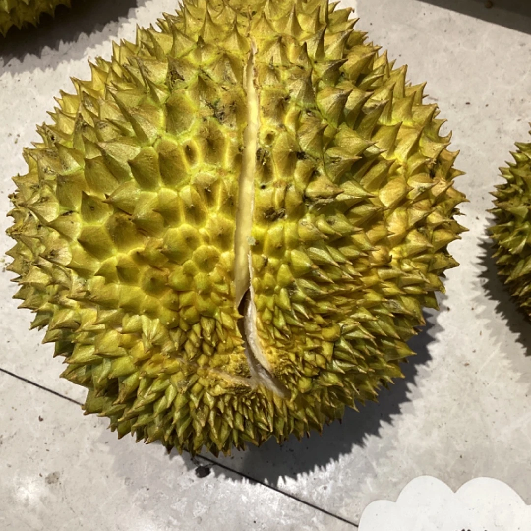金枕榴莲 一果一称 鲜果现开