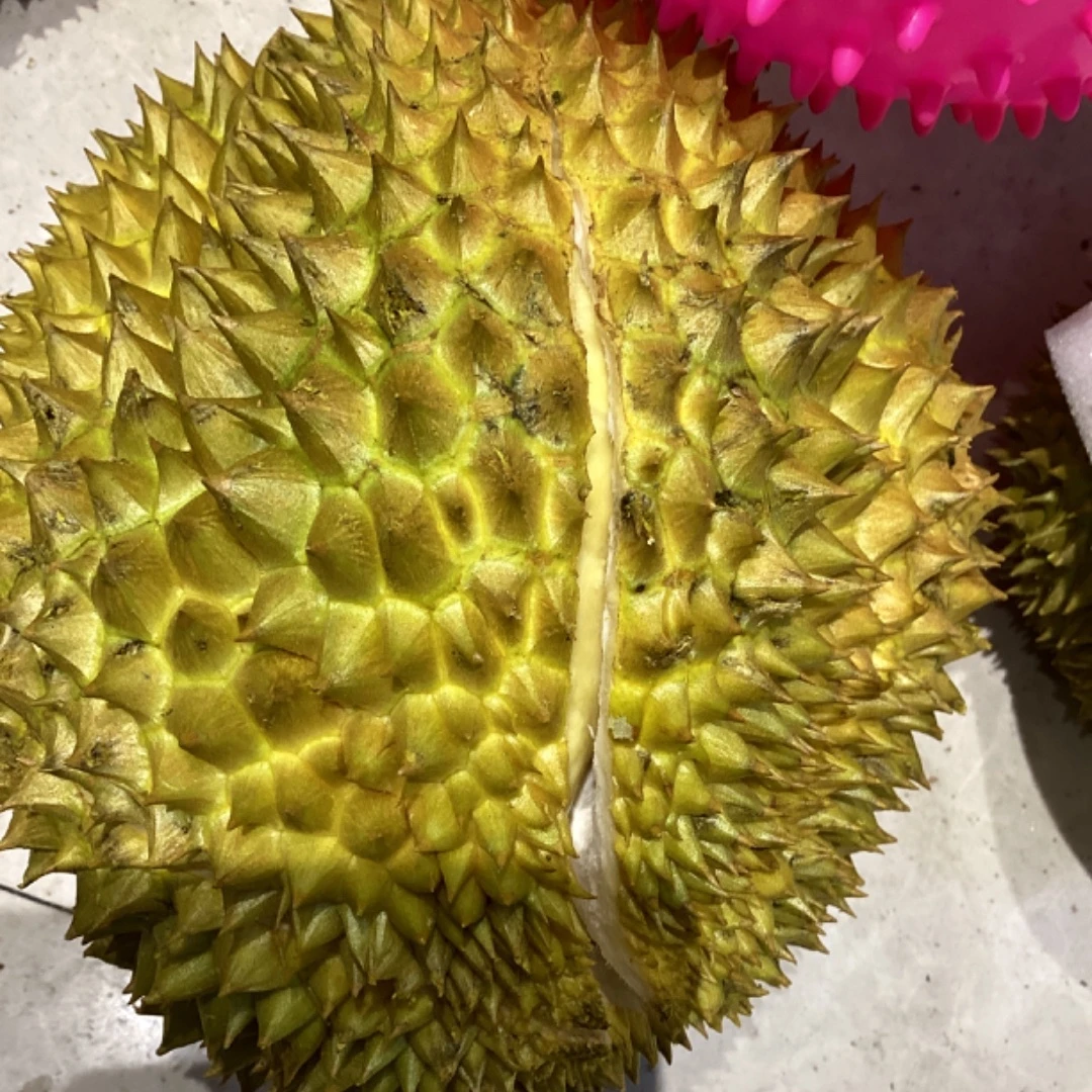 金枕榴莲 一果一称  鲜果现开