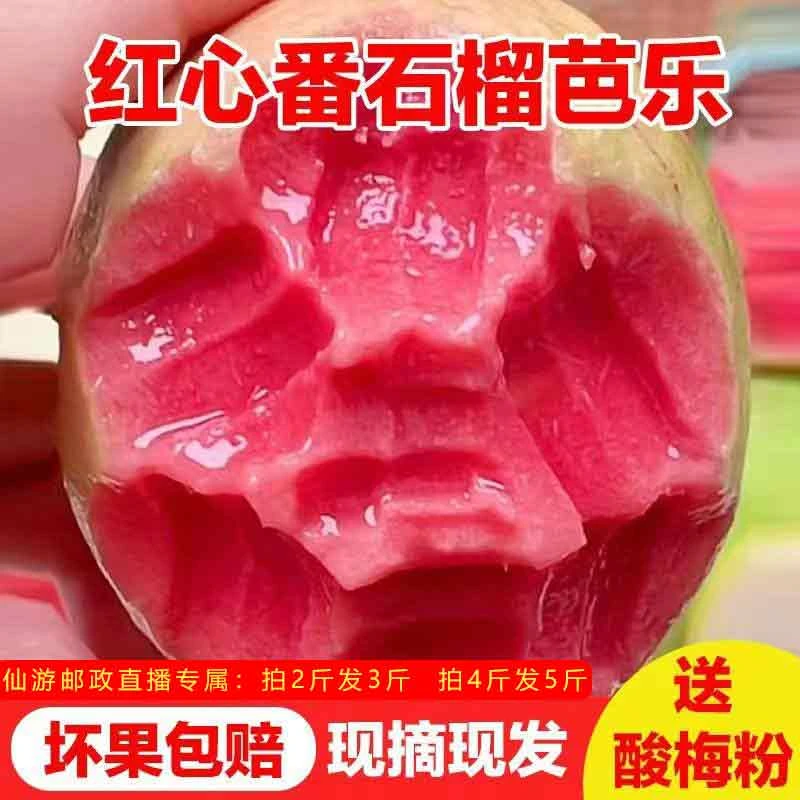 【芭乐红白双拼】水果拼装混装红心芭乐奶油白心新鲜便宜软糯无糖